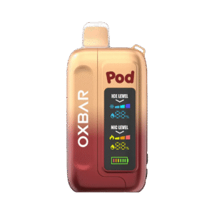 ROOT BEER FLOAT 🍺🍦